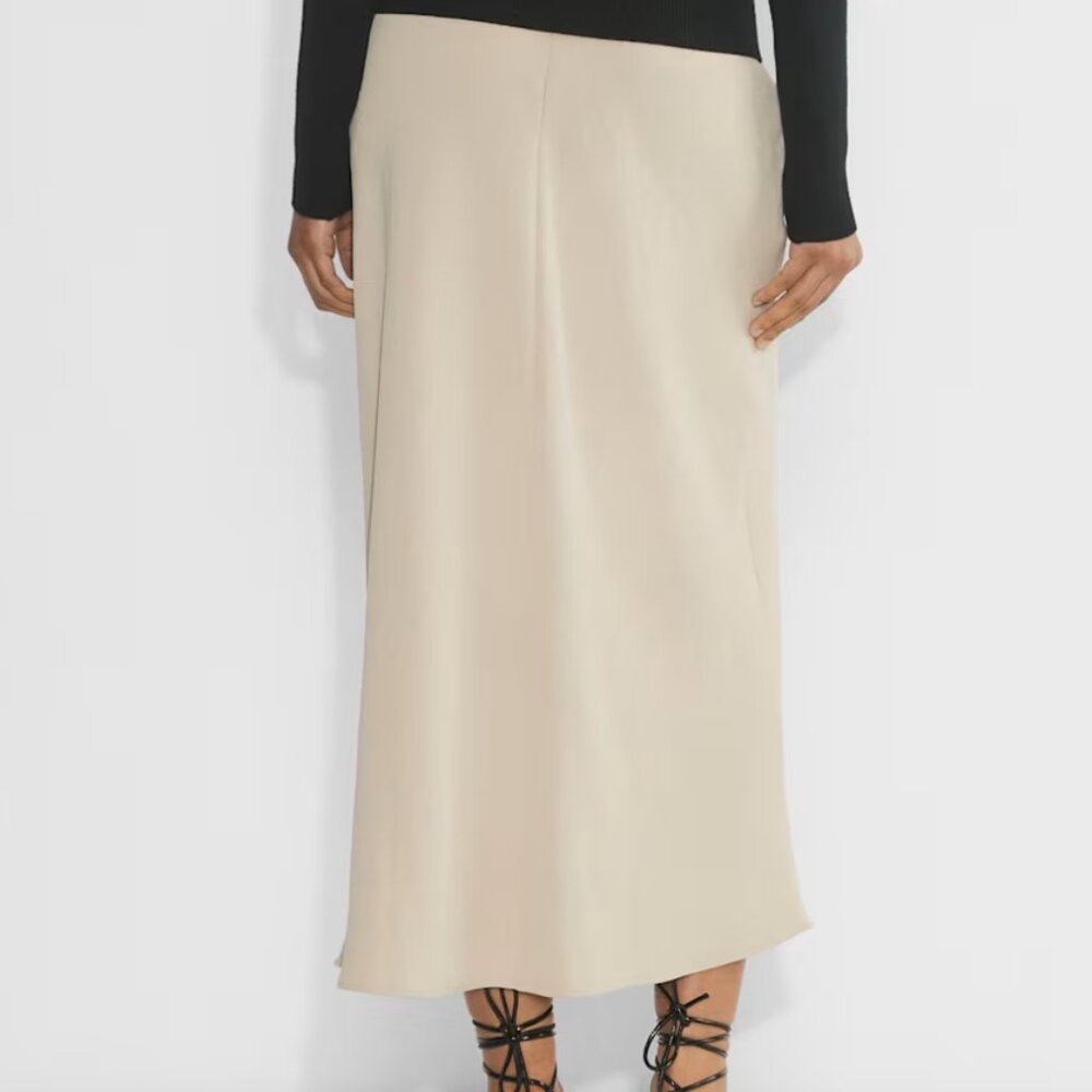 Devotion Skirt (Aritzia)